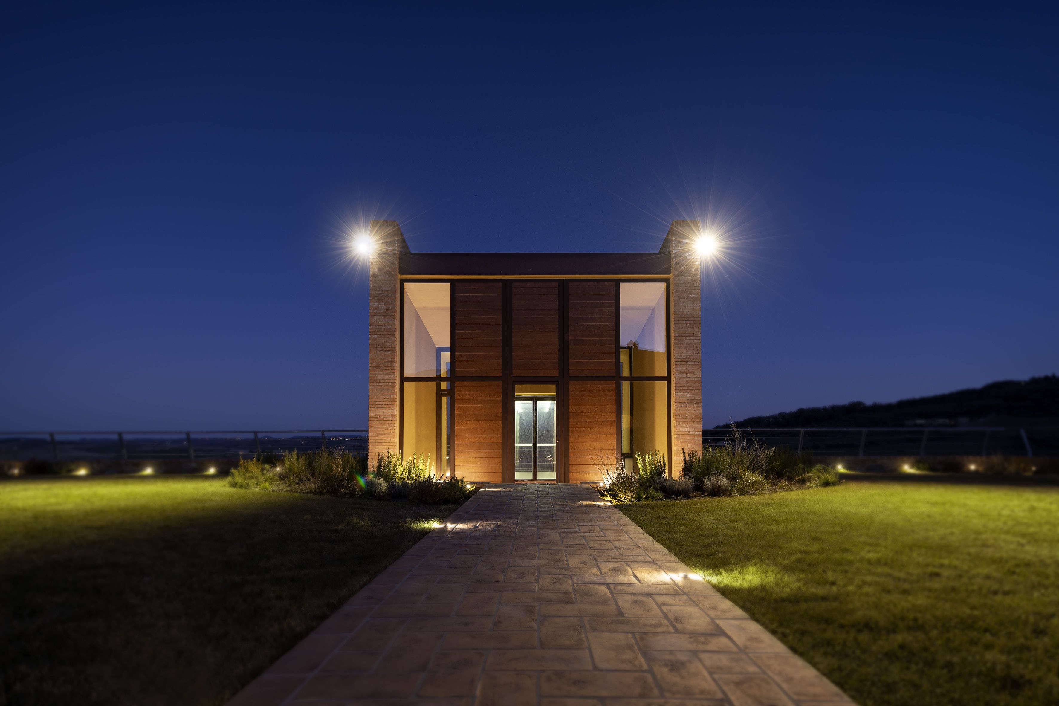 a dirt path in the middle of a vineyard