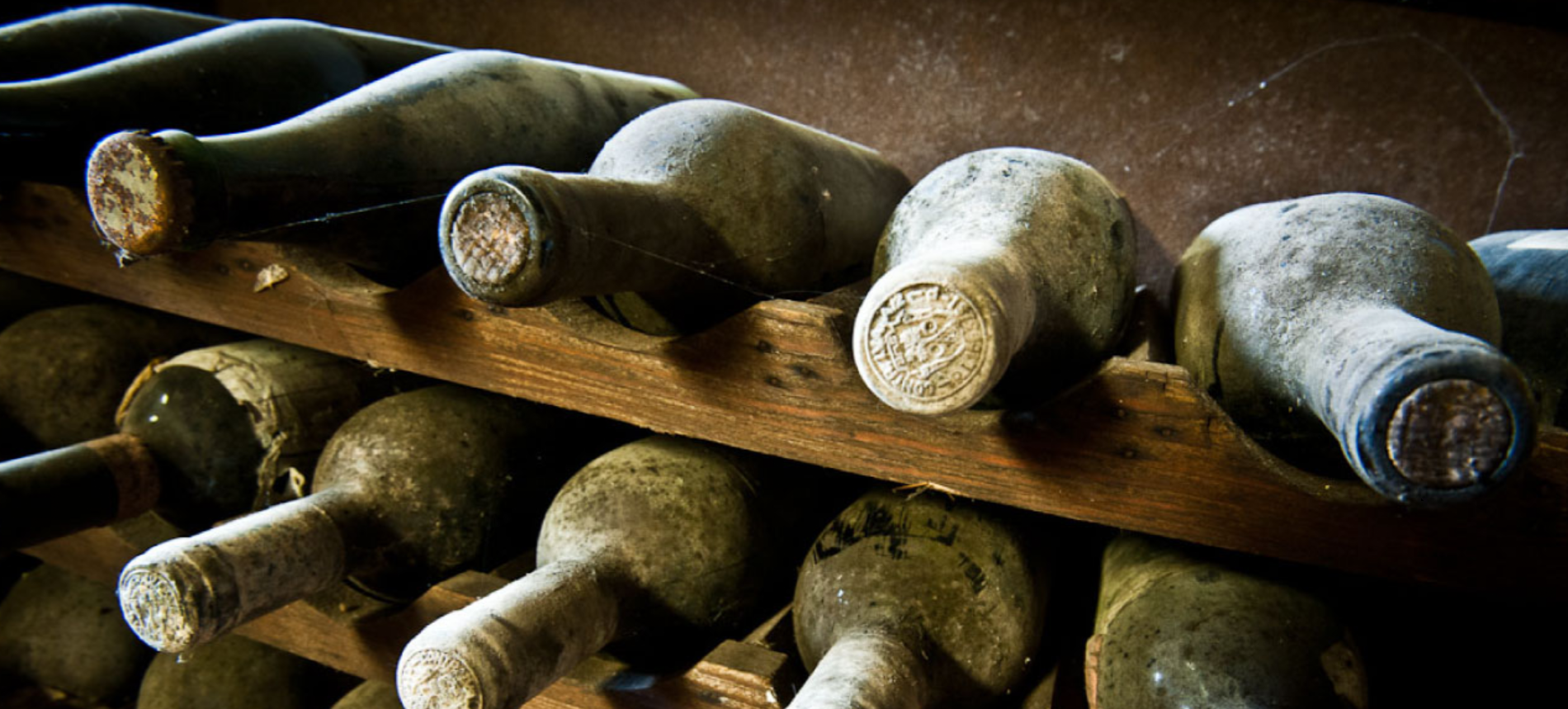 a dirt path in the middle of a vineyard