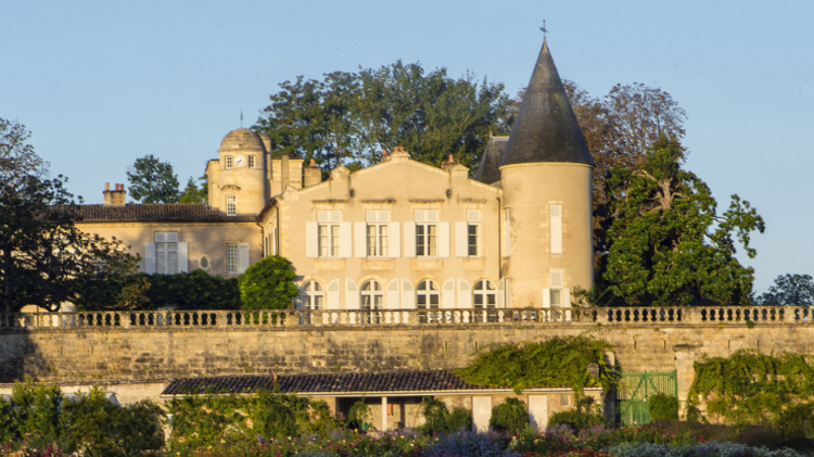 selective focus photography of clear glass wine glass