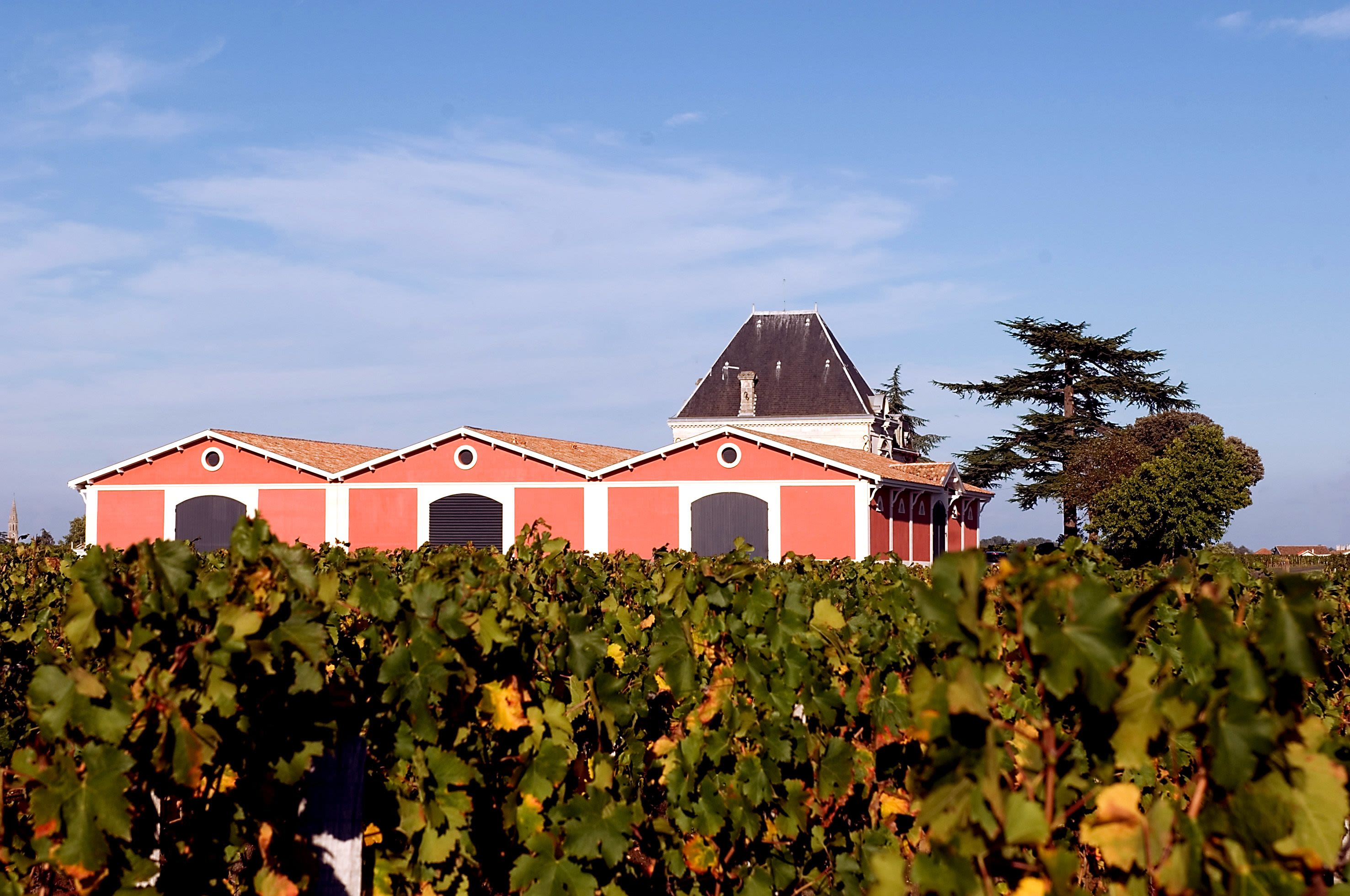 A woman is holding a surfboard on the beach