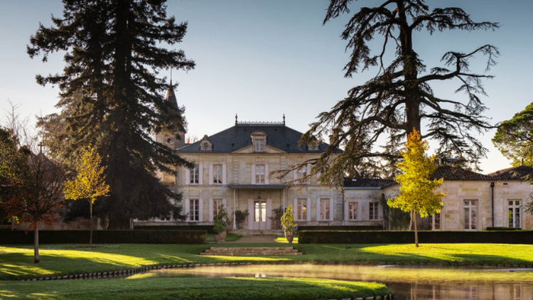 selective focus photography of clear glass wine glass
