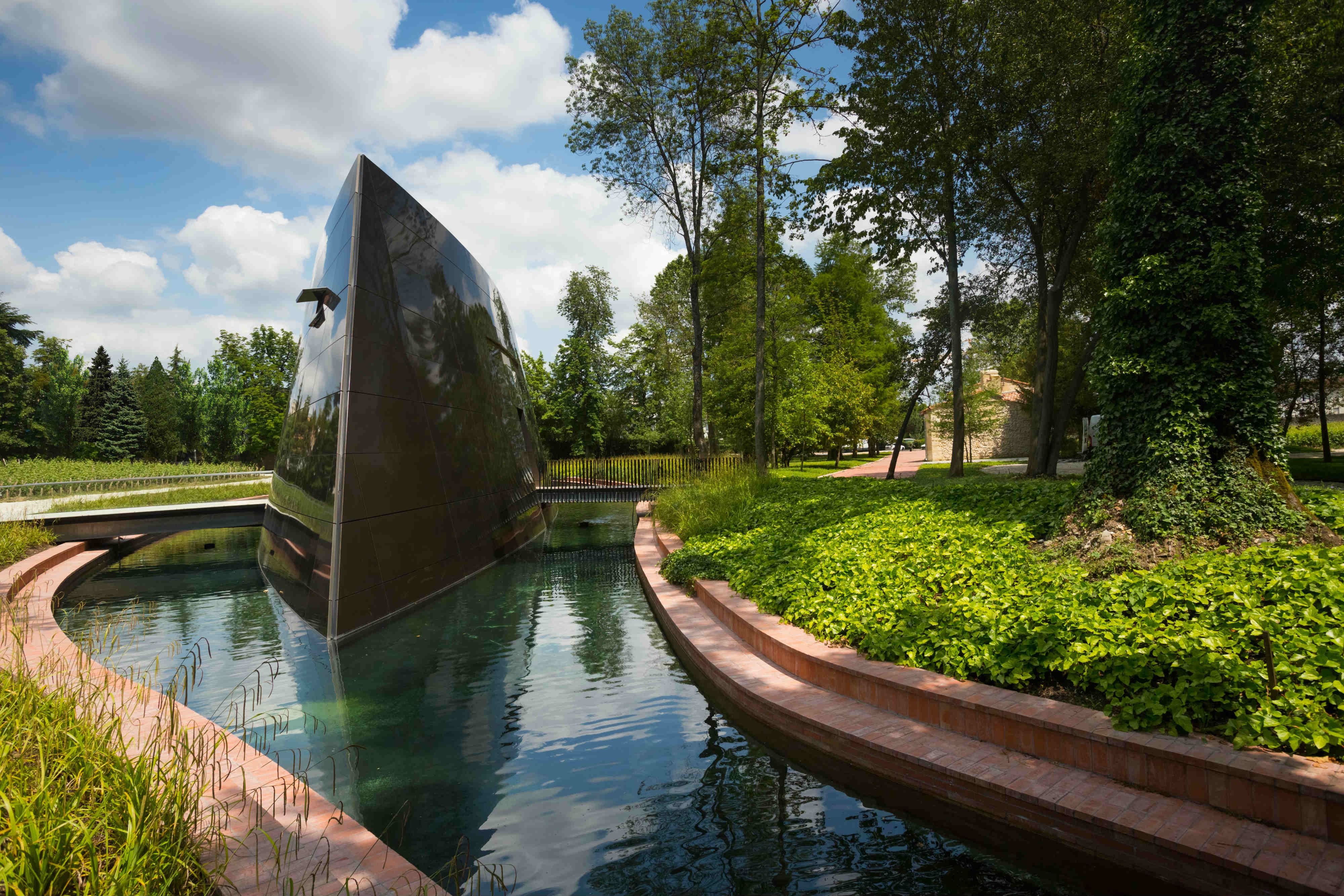 selective focus photography of clear glass wine glass