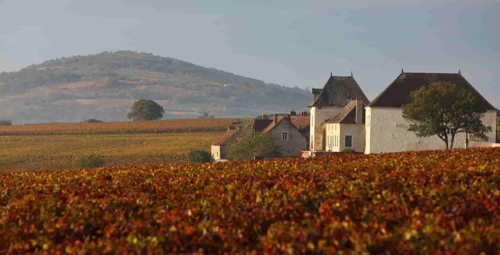 selective focus photography of clear glass wine glass