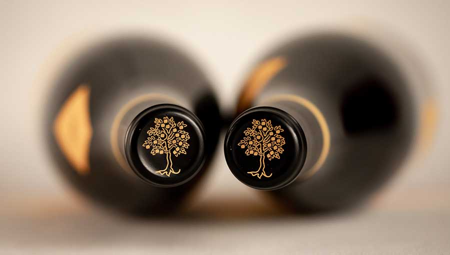 selective focus photography of clear glass wine glass