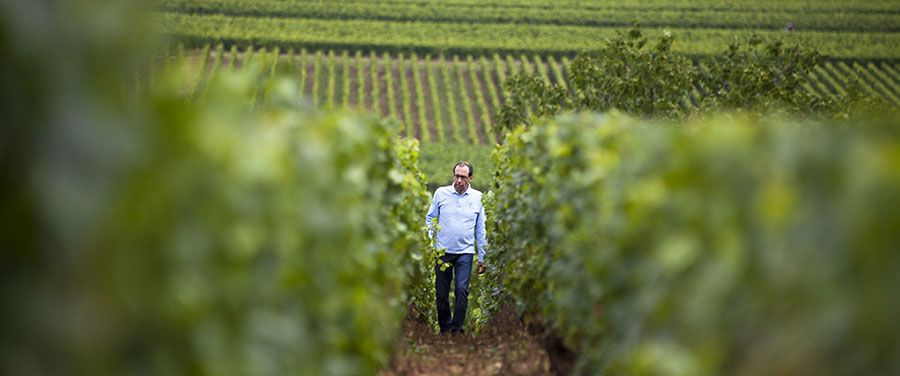 selective focus photography of clear glass wine glass